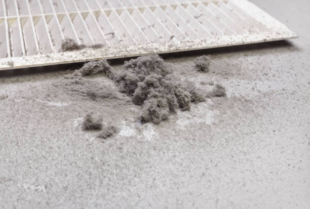 Best Affordable Duct Cleaning Services  in Parkston, SD