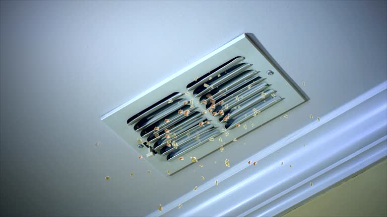 Best Commercial HVAC Duct Cleaning  in Parkston, SD
