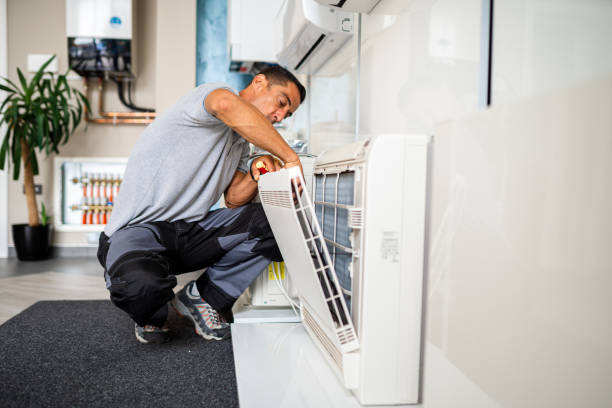 Best Air Vent Cleaning Services  in Parkston, SD