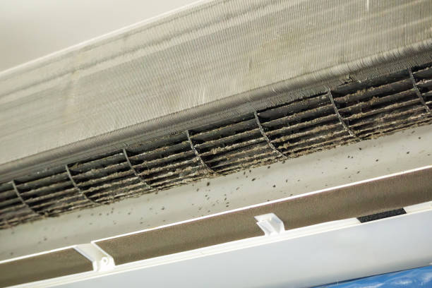 Best Best Air Duct Cleaning Company  in Parkston, SD